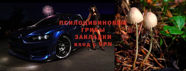 2c-b Надым