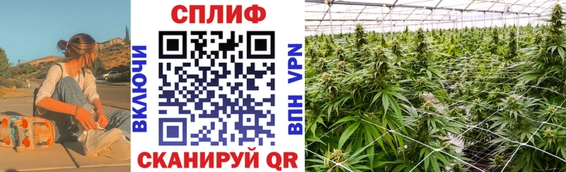 где продают наркотики  Подпорожье  Канабис OG Kush 